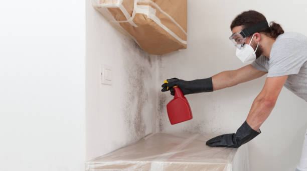 Professional Mold Remediation technician working in Clinton, NY